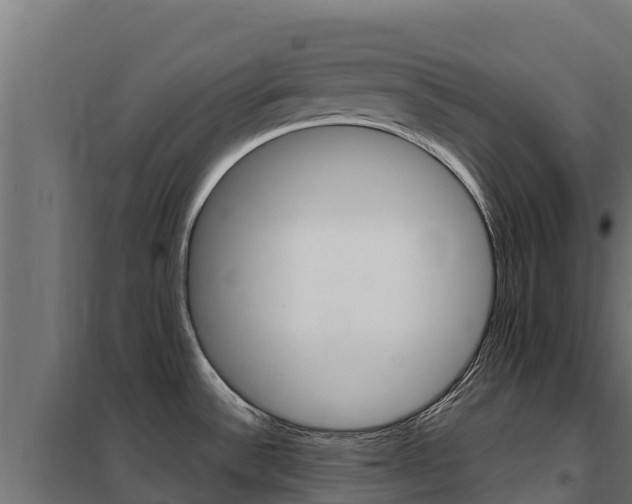 X0000102481532200808081021