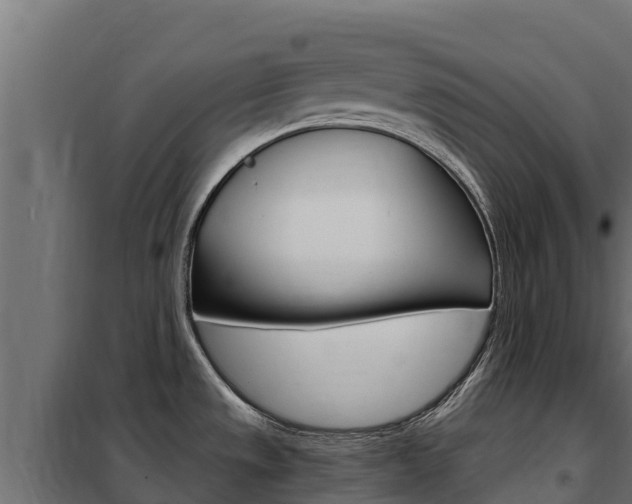 X0000102481533200808081021