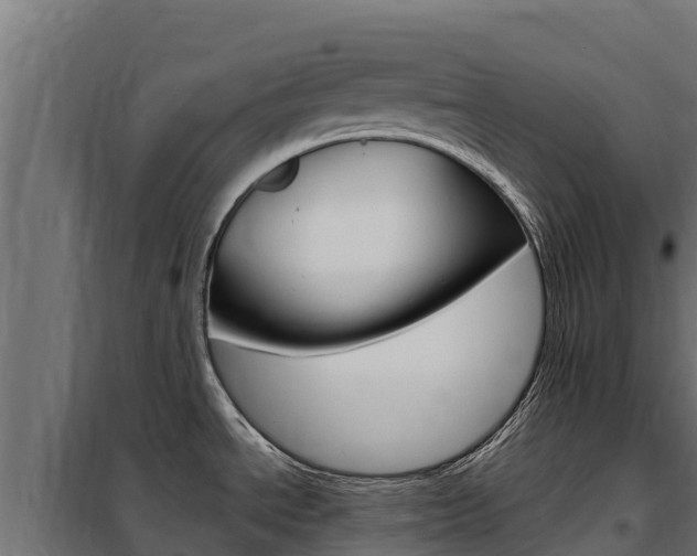 X0000102481534200808081021