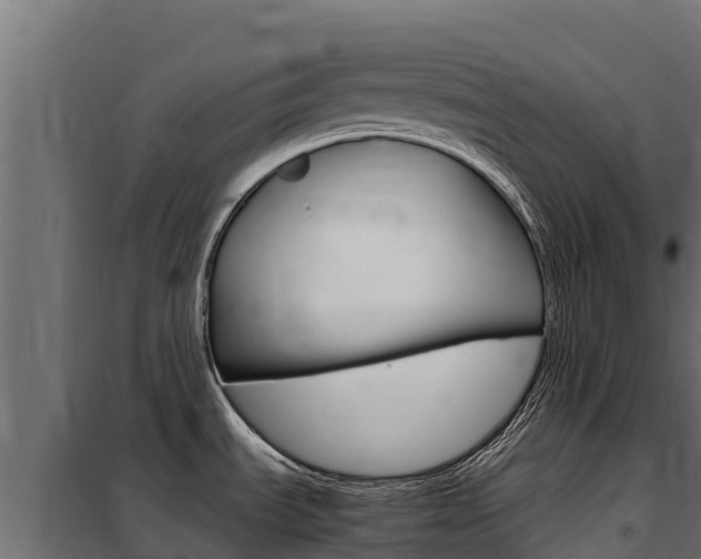 X0000102481535200808081021