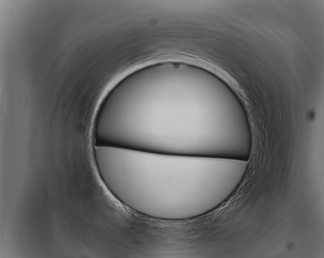 X0000102481536200808081021