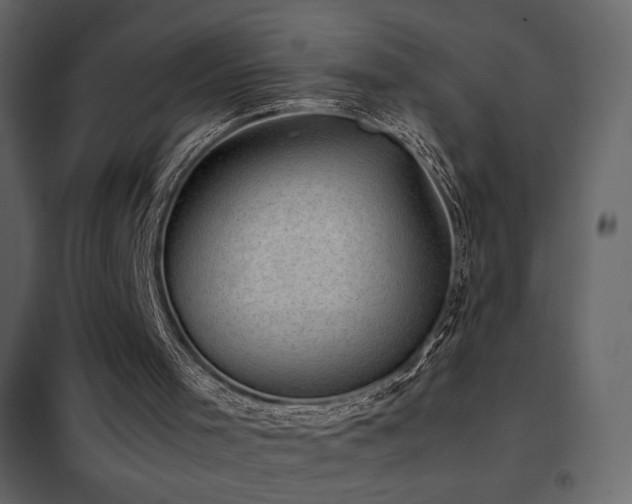 X0000102480001200808081316