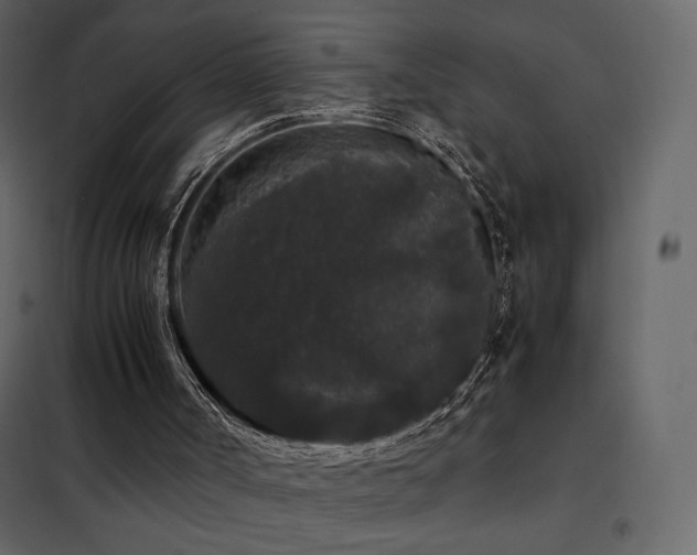 X0000102480002200808081316