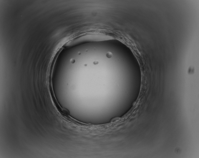 X0000102480003200808081316