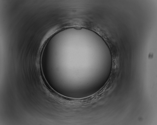 X0000102480004200808081316