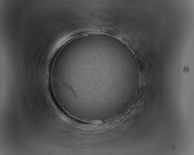 X0000102480005200808081316