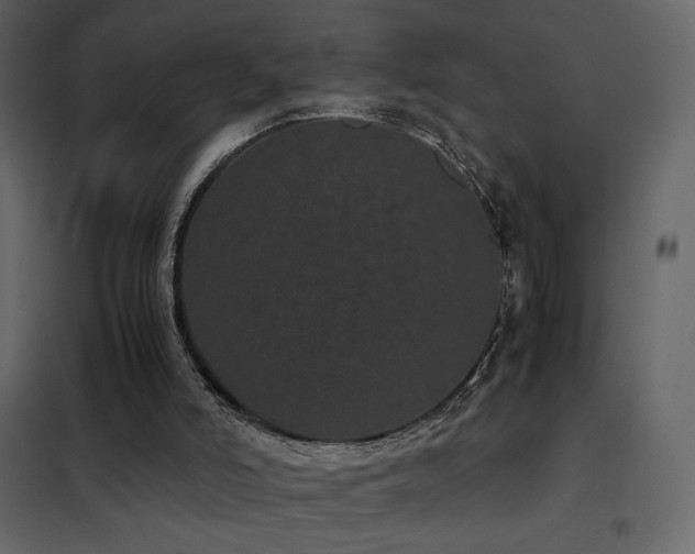 X0000102480006200808081316