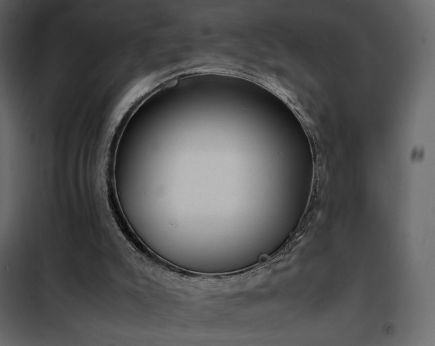 X0000102480007200808081316