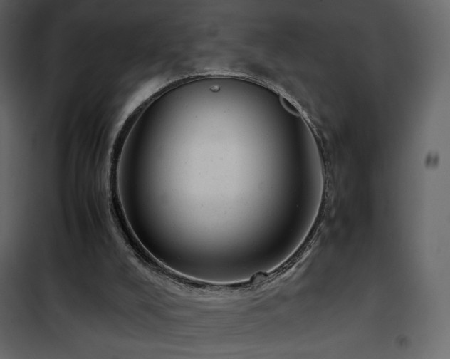 X0000102480008200808081316