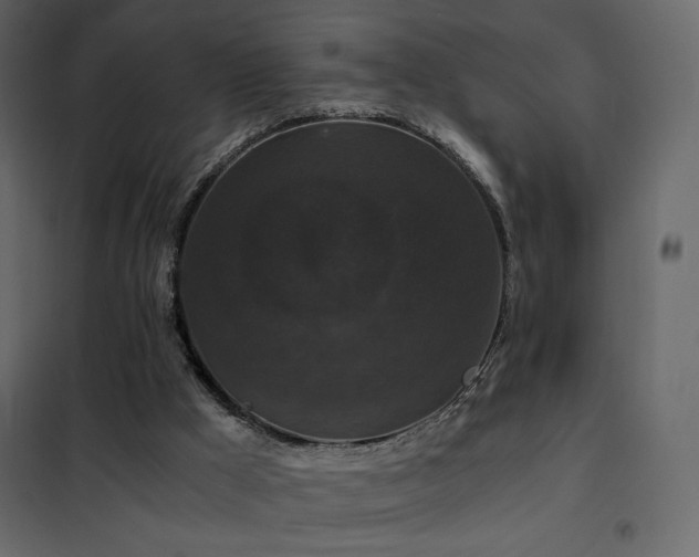 X0000102480009200808081316