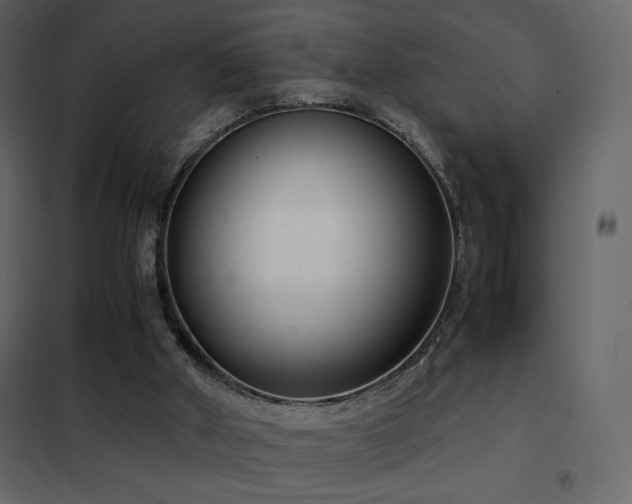 X0000102480010200808081316