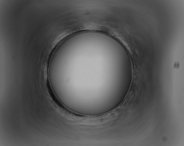 X0000102480011200808081316