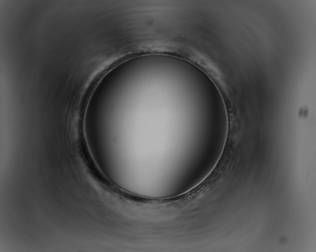 X0000102480012200808081316