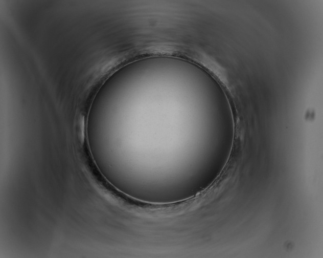 X0000102480013200808081316