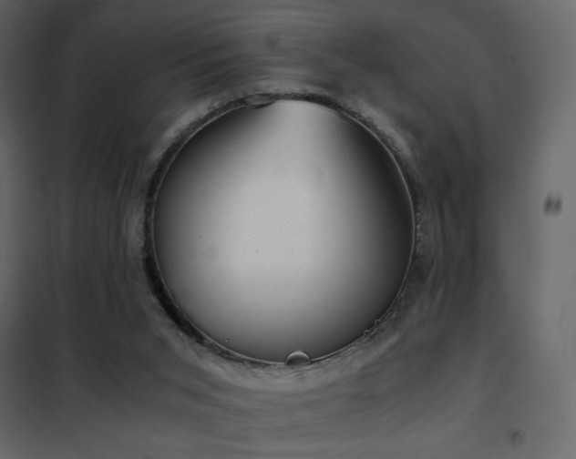 X0000102480015200808081316