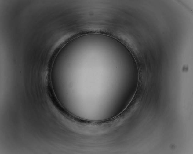 X0000102480016200808081316