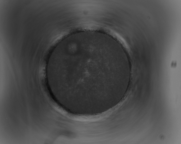 X0000102480017200808081316