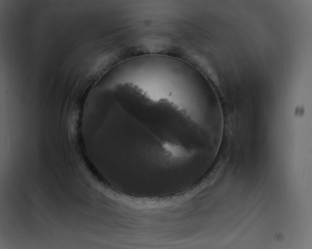 X0000102480018200808081316