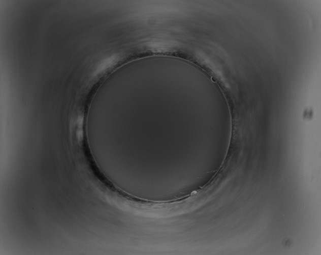 X0000102480019200808081316