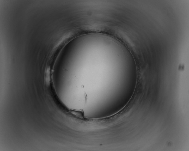 X0000102480020200808081316