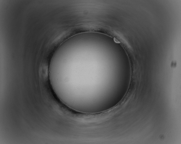 X0000102480021200808081316