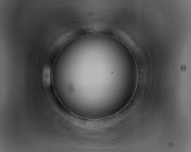 X0000102480022200808081316