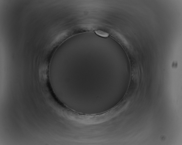 X0000102480023200808081316