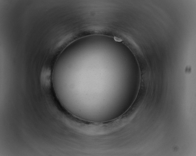 X0000102480024200808081316