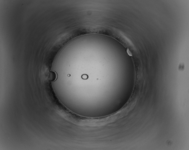 X0000102480025200808081316