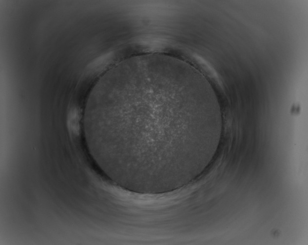 X0000102480026200808081316