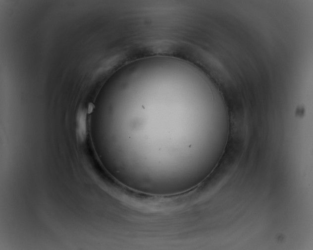 X0000102480028200808081316