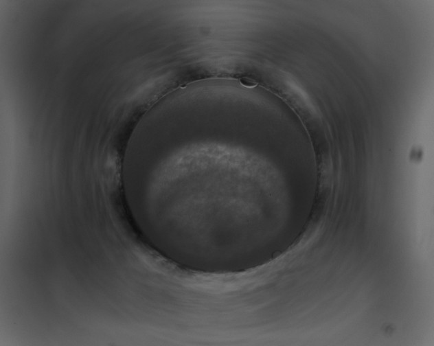 X0000102480029200808081316