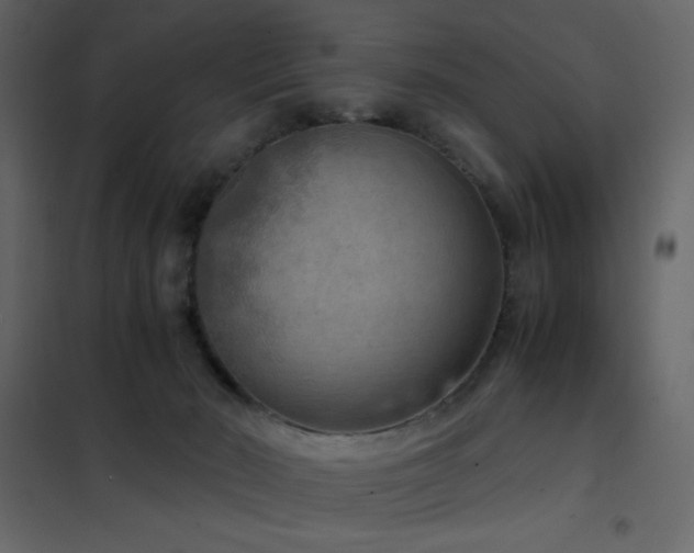 X0000102480030200808081316