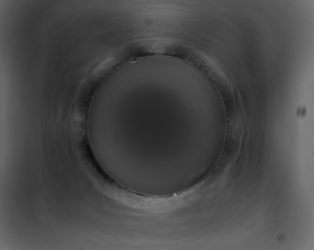 X0000102480031200808081316