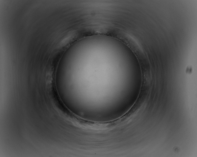 X0000102480032200808081316