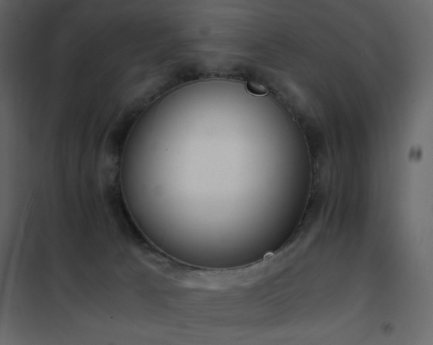 X0000102480033200808081315