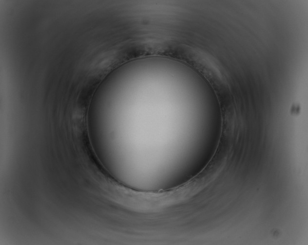 X0000102480034200808081315