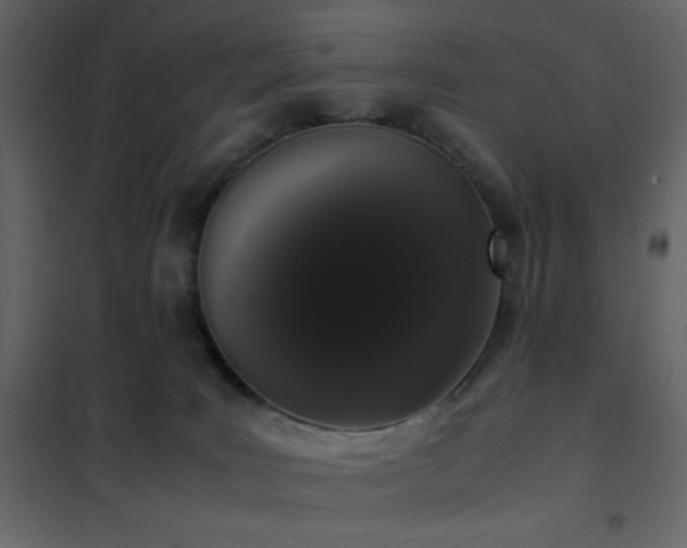 X0000102480035200808081315