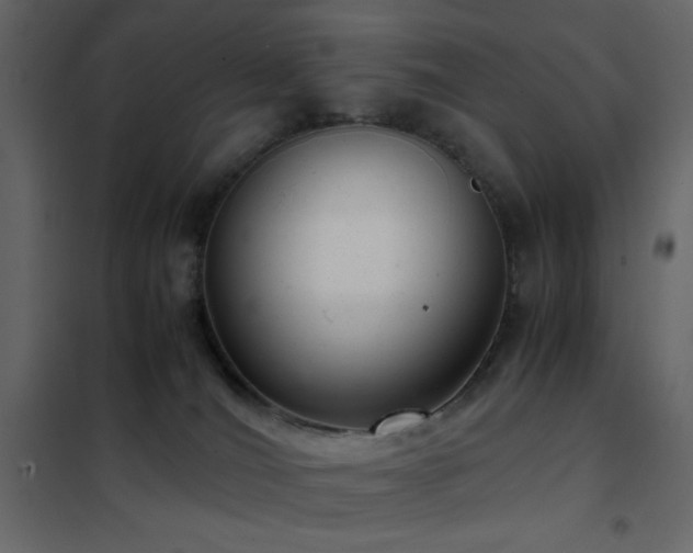 X0000102480036200808081315