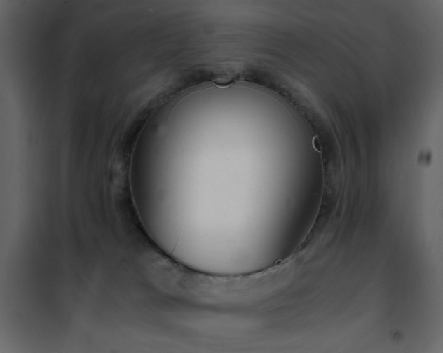 X0000102480037200808081315