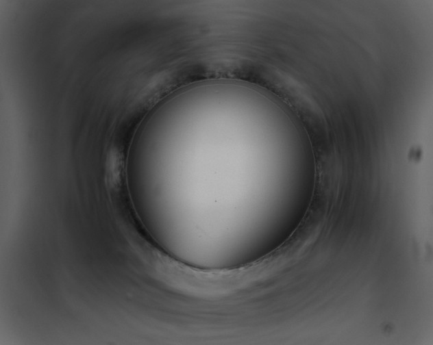 X0000102480038200808081315