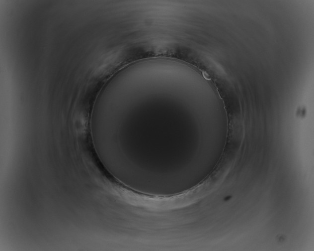 X0000102480039200808081315