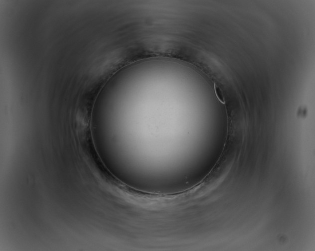 X0000102480040200808081315