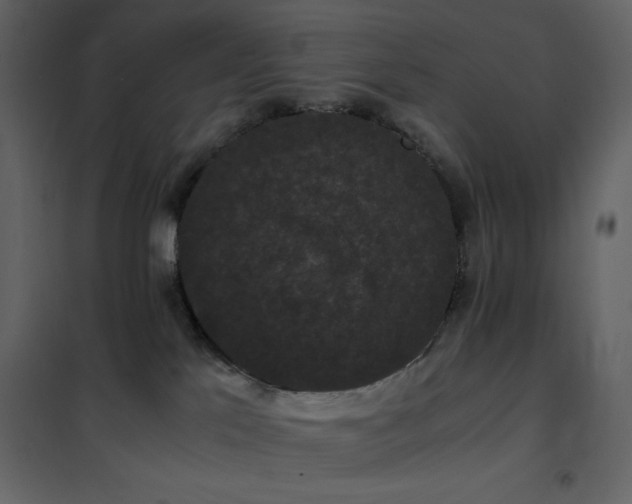 X0000102480041200808081315