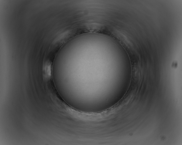 X0000102480042200808081315