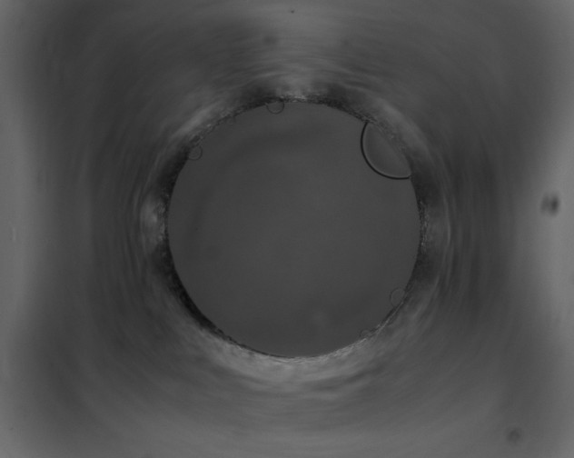 X0000102480043200808081315