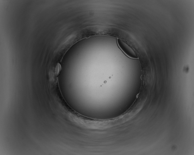 X0000102480044200808081315