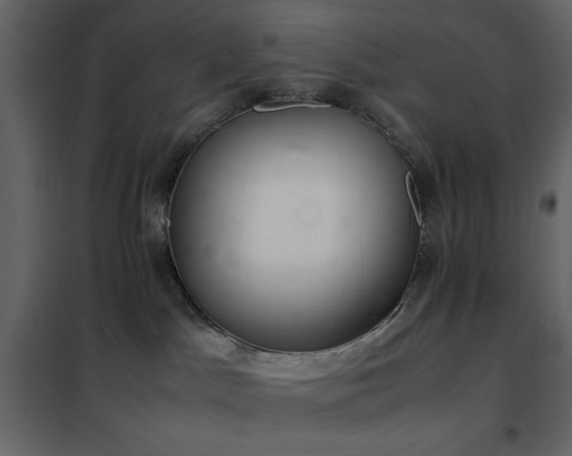 X0000102480045200808081315