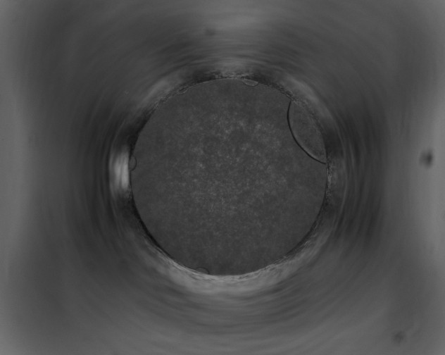 X0000102480046200808081315