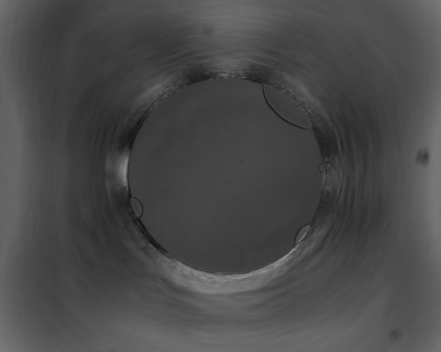 X0000102480047200808081315